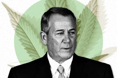 A Washington lobbyist is suing former House Speaker-turned-marijuana maven John Boehner, claiming that he pilfered talking points about legalization.