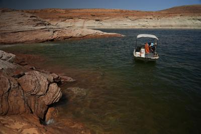 A Utah State University research team pulls in a gillnet net at Lake Powell, June 7, 2022, in Page, Ariz.