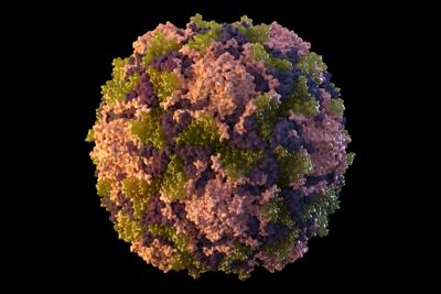 An illustration from the Centers for Disease Control and Prevention depicts a polio virus particle. On Thursday, July 21, 2022, New York health officials reported a polio case, the first in the U.S. in nearly a decade.