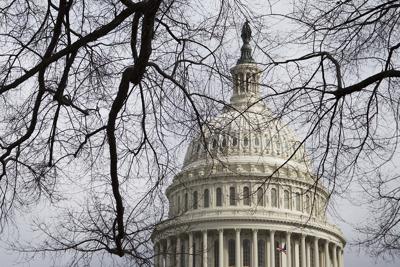 The U.S. Capitol in Washington is seen through a maze of twigs and tree branches.