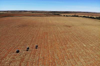 Farm employees spread fertilizer on a farm in Gerdau, North West province, South Africa, in 2018.