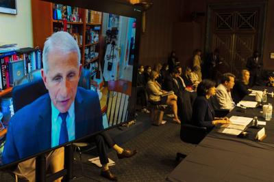 Dr. Anthony Fauci testified by video and in isolation on Thursday at a Senate HELP hearing on the federal pandemic response after testing positive for Covid Wednesday.