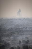 See the world in vertical: Top photos by AP photojournalists