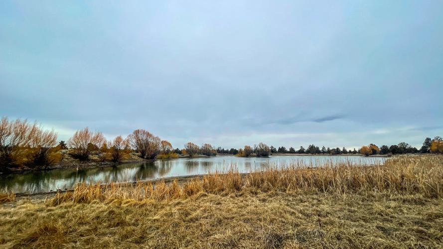 Reynolds Pond-1