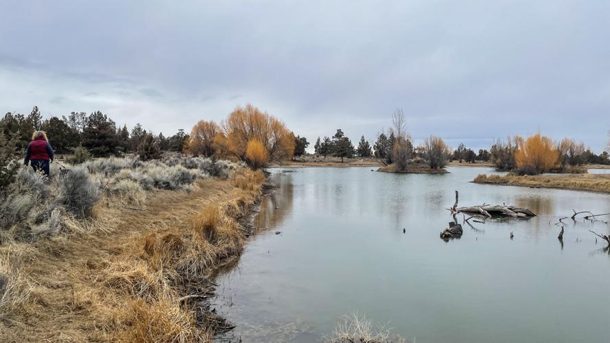 Reynolds Pond-3