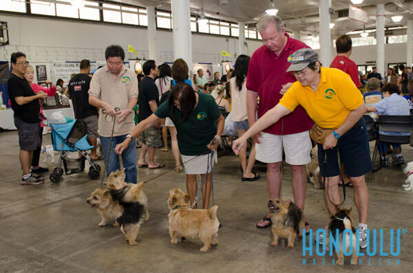 40279 Hnlmagpetexpo2014hnlmagkbp 4685