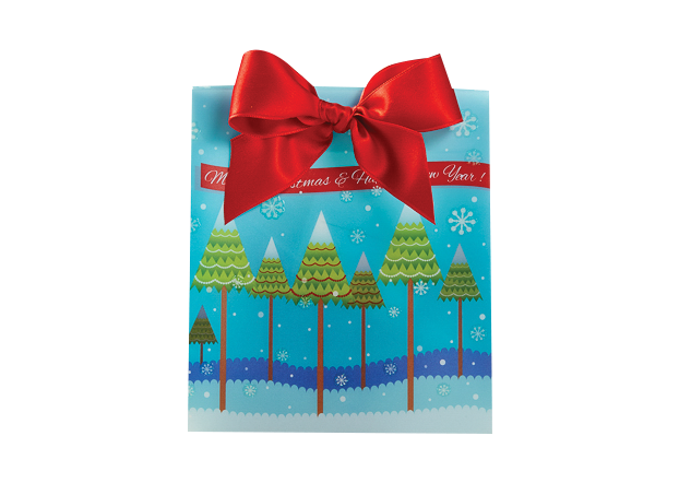 47160 Holidaygiftguide Xmascard