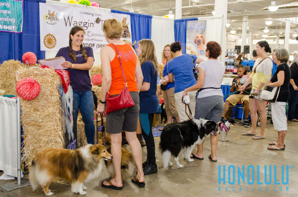 40265 Hnlmagpetexpo2014hnlmagkbp 4641