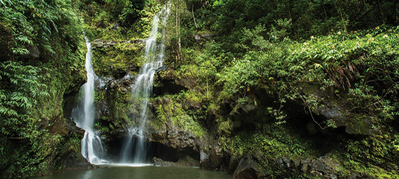 68405 Maui Things To Do Travel