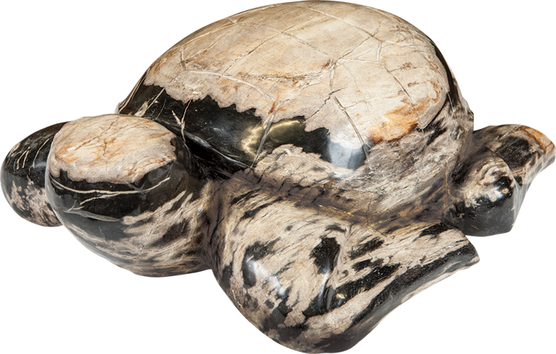47475 Turtle