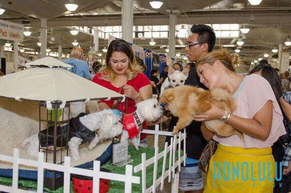 40304 Hnlmagpetexpo2014hnlmagkbp 4789