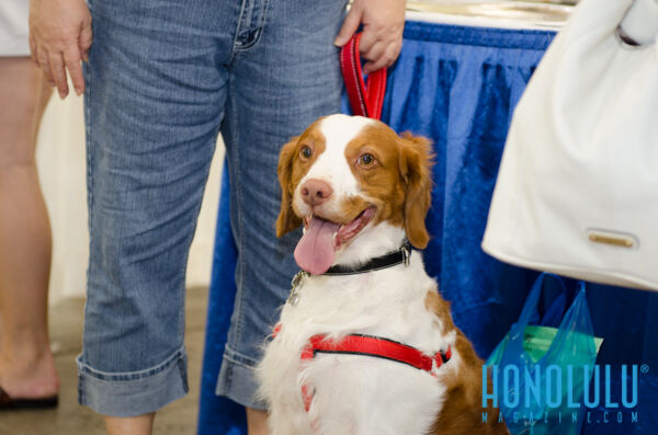 40290 Hnlmagpetexpo2014hnlmagkbp 4735