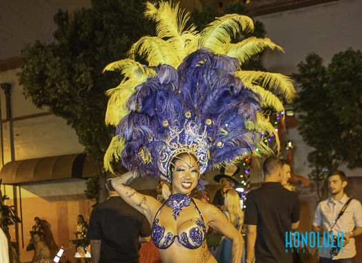 37220 Mardigraswebhn0314 Dc 8899