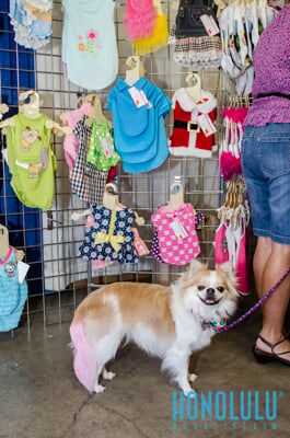 40268 Hnlmagpetexpo2014hnlmagkbp 4646