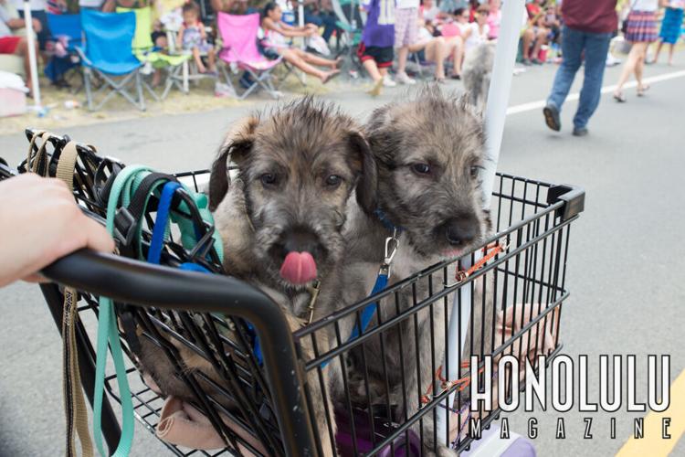 43637 10kailua4thparadehnlmagkbp 0627