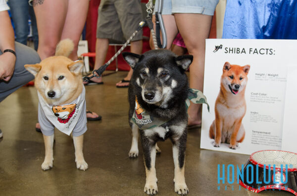 40263 Hnlmagpetexpo2014hnlmagkbp 4635