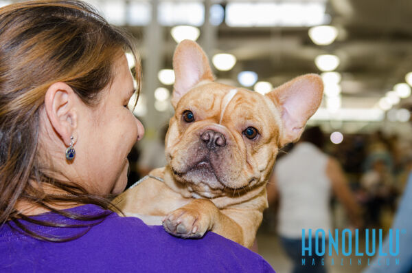 40297 Hnlmagpetexpo2014hnlmagkbp 4762