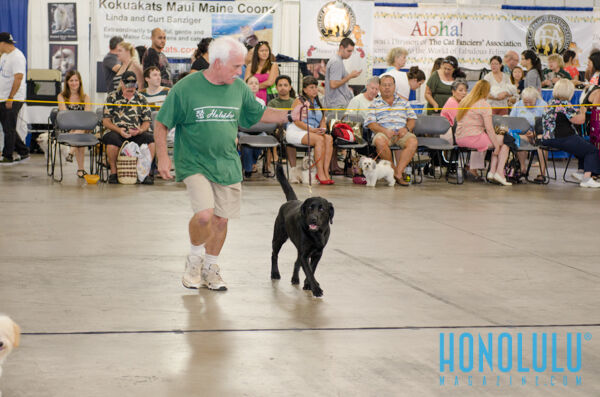 40277 Hnlmagpetexpo2014hnlmagkbp 4677