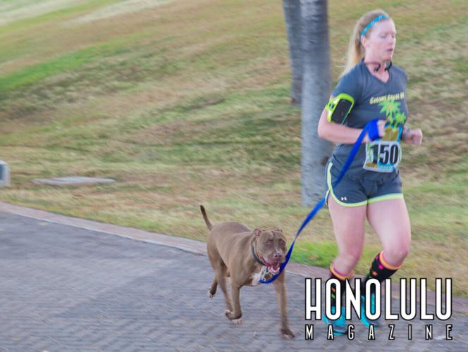 43992 Coconutchase3coconutchase2014hnlmagkbp 2728