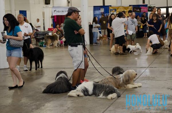 40296 Hnlmagpetexpo2014hnlmagkbp 4760