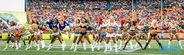 34679 20140126 Probowl 051