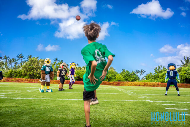 34401 20140122 Nfl Ppk 017