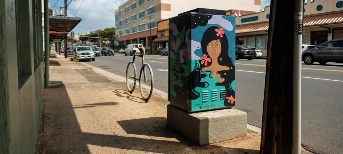 68151 Hn1906aykaimukiartboxes4402