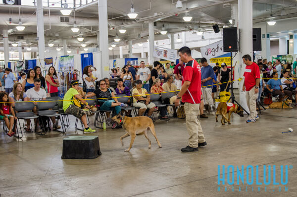 40235 Hnlmagpetexpo2014hnlmagkbp 4544