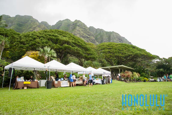 38025 Makahikifestival2hn0314 Od Makahikifest 3133