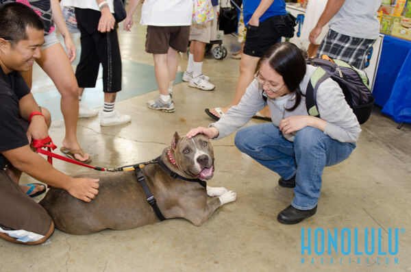 40292 Hnlmagpetexpo2014hnlmagkbp 4744