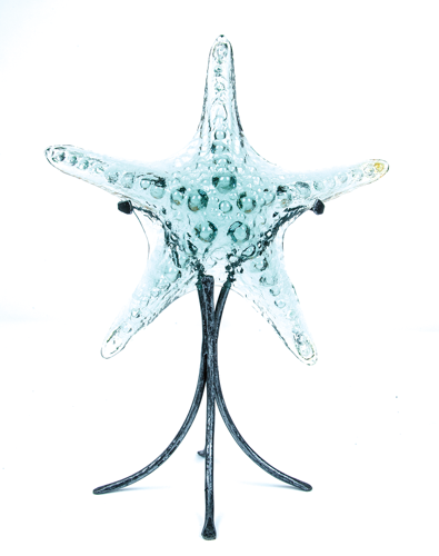 47120 Holidaygiftguide Glassstarfish