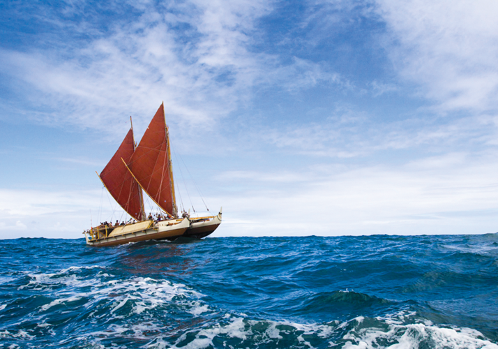 43238 Meter Hokulea