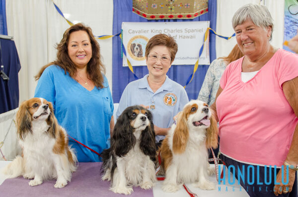 40238 Hnlmagpetexpo2014hnlmagkbp 4561