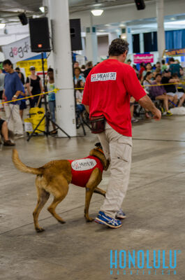 40237 Hnlmagpetexpo2014hnlmagkbp 4546