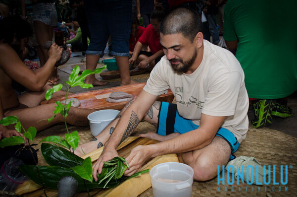 34356 Hnlmagwmhnlopendayleg2014hnlmagkbp 9537