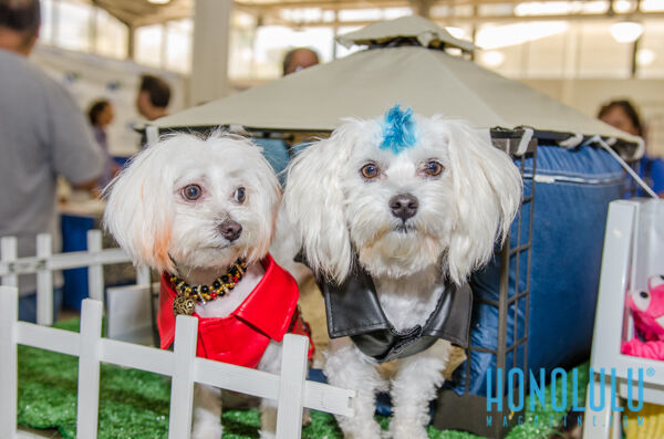 40275 Hnlmagpetexpo2014hnlmagkbp 4670