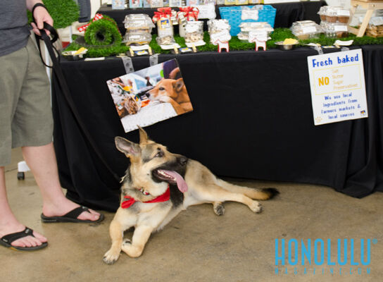 40287 Hnlmagpetexpo2014hnlmagkbp 4728
