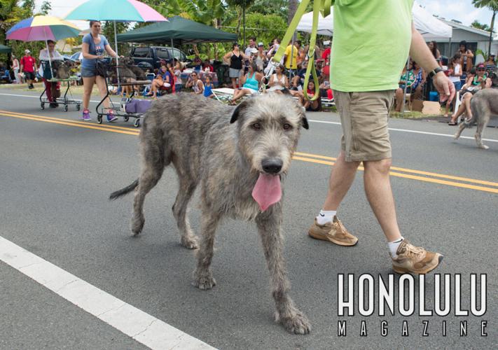43635 10kailua4thparadehnlmagkbp 0624