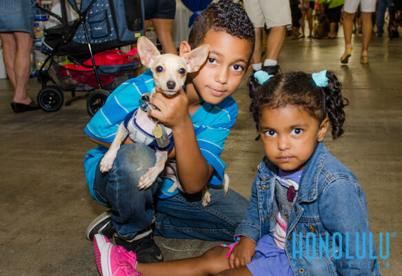 40308 Hnlmagpetexpo2014hnlmagkbp 4798