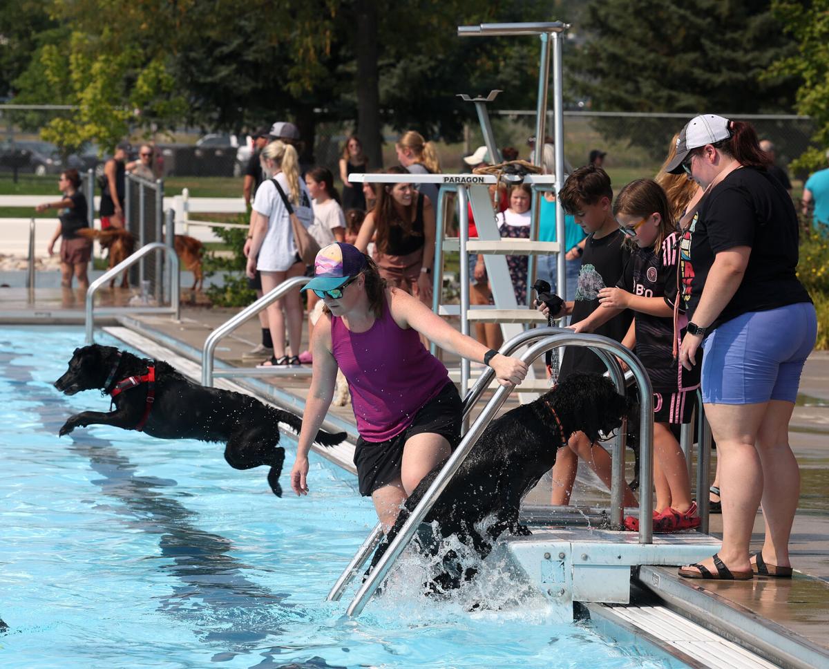 Dog days at Rose Park