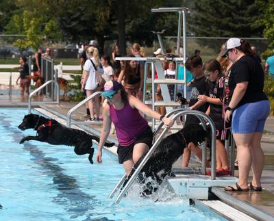 Dog days at Rose Park