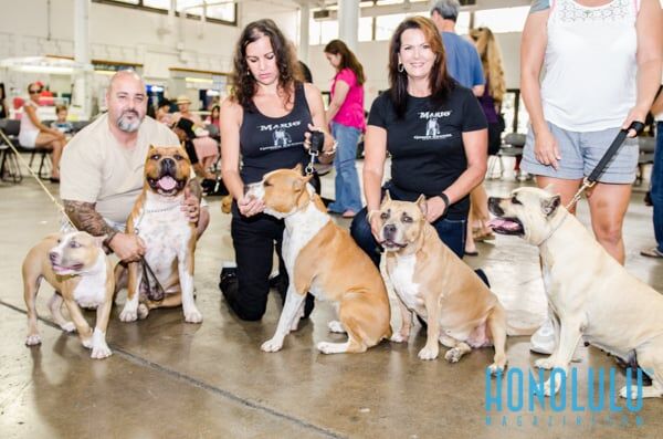 40286 Hnlmagpetexpo2014hnlmagkbp 4716