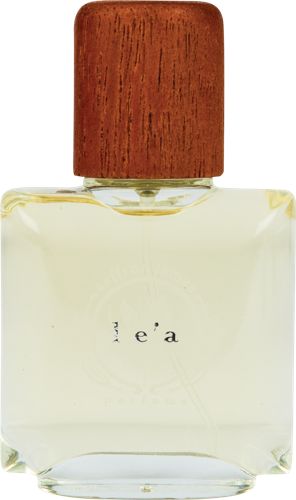 47135 Holidaygiftguide Lea