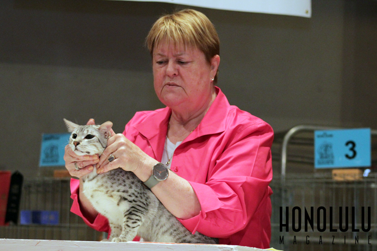 47515 Img 9728