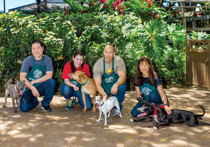 43800 Services Hawaiianhumane