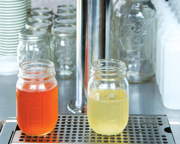 43125 Food Kombucha