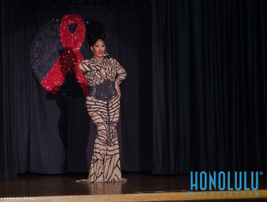 37068 Hnlmagreddressball2014hnlmagkbp 9788