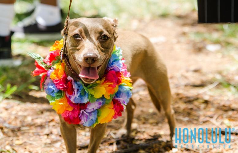 42028 3pridehnl2014 0296