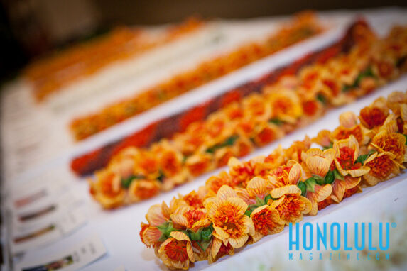 40036 Web2hn0514 Od Publicschoolshawaii 5947