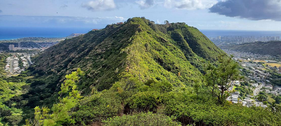 53238 We Tried It What Its Like At These 6 Popular Oahu Hikes And Gardens During The Pandemic Lanipo Trail